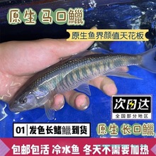 �L���v���vȺ���~��ˮ�~�R�ں��B���B���Ӝ�Ϫ����ˮ�^�p�~�Ї�