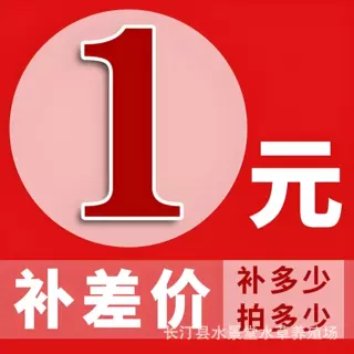 差价及运费补拍，差几块拍几份，请勿直接下单，详情先咨询客服