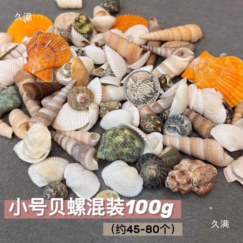 石塑粘土贝壳冰箱贴手工制作DIY海螺贝壳玛瑙免烧免考材料包|undefined