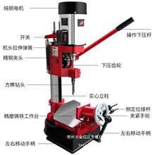 ��龙C�_龙C�����ľ�����״�龙CС���î�C��î���������_�יC