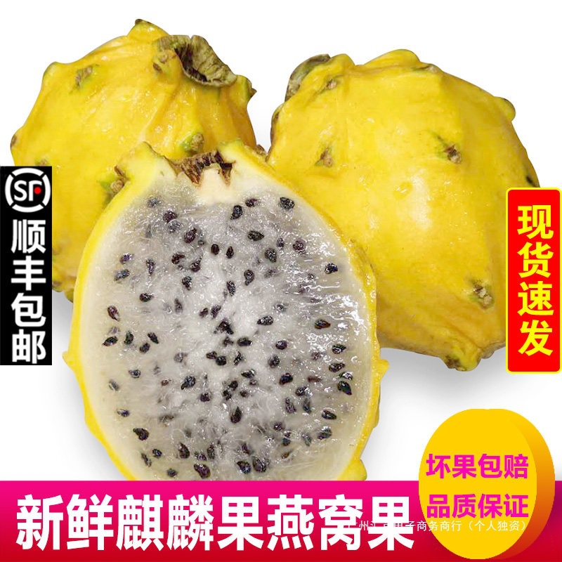 歌慕 麒麟果黄色火龙果燕窝果6个装新鲜水果包邮当季水果整箱