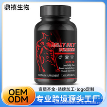 �羳��ó�������ع���ȼ�ս���BURNER CACAPSULESԴͷ������O E M