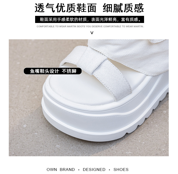 10061图片包_11.jpg