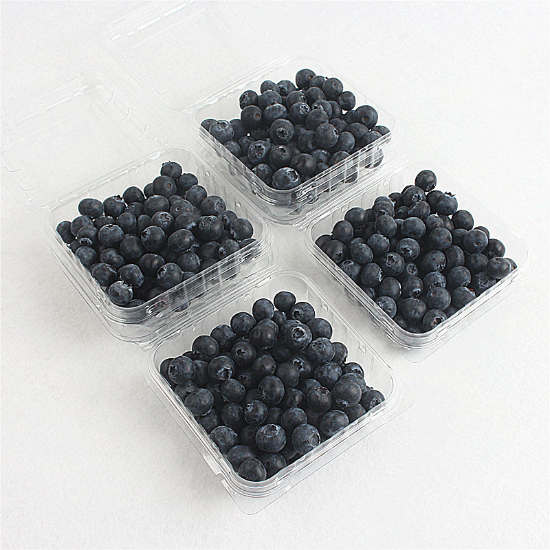 蓝莓盒125G桑葚 一次性水果盒透明塑料保鲜盒正方形树莓杯小盒子