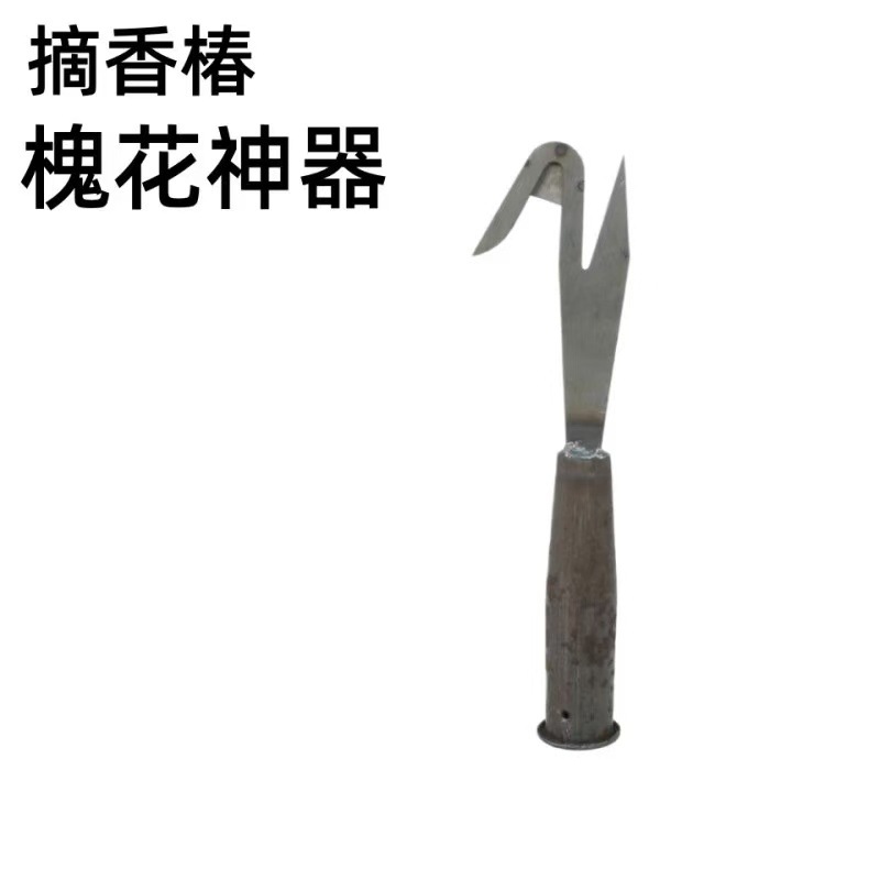 微信图片_20260319161754_882_142