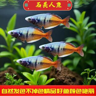 ʯ�����~�^�p�~���~�^�p�~�Ꭷ��ˮ늹������~С�ͻ��w�~���B�׻�