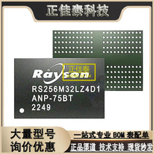 rayson-rayson品牌、图片、排行榜 - 阿里巴巴