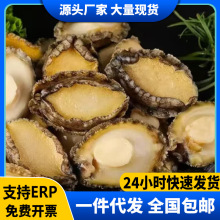 U~rr̖ȥrكСU~⺣rʳ