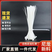 ��}���Q�羳��������100�l���iʽ�����������l����늾�������