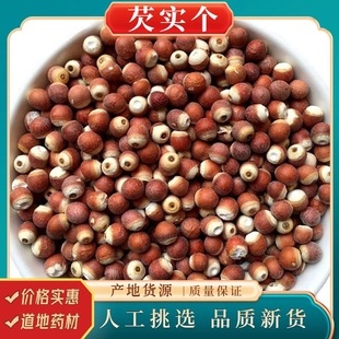 �͌�500g���r�ؑc��؛�ؼ���ș����Ƿ���͌����u�^������޲�״Č�