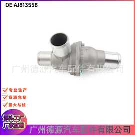 AJ813558 节温器 适用于捷豹XK8