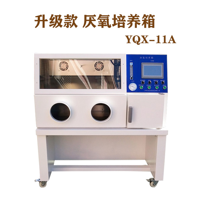 上海厂家生产自动型厌氧培养箱YQX-I 触摸屏厌氧菌培养箱下单优惠