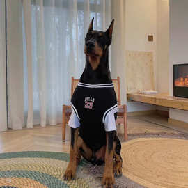 狗狗衣服大型犬薄款金毛拉布拉多杜宾假两件球服大狗衣服夏季衣服
