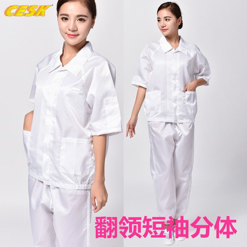 短袖分体套整翻领拉链防静电洁净无尘净化夏季轻薄透气工衣不含帽