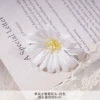 WXH-Single little daisy head-white