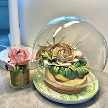 厂家透明球形玻璃罩木塞蛋糕手办标本摆件防尘展示罩桌面装饰手工