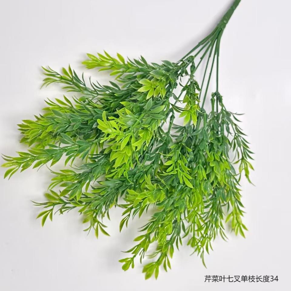 셀러리 잎