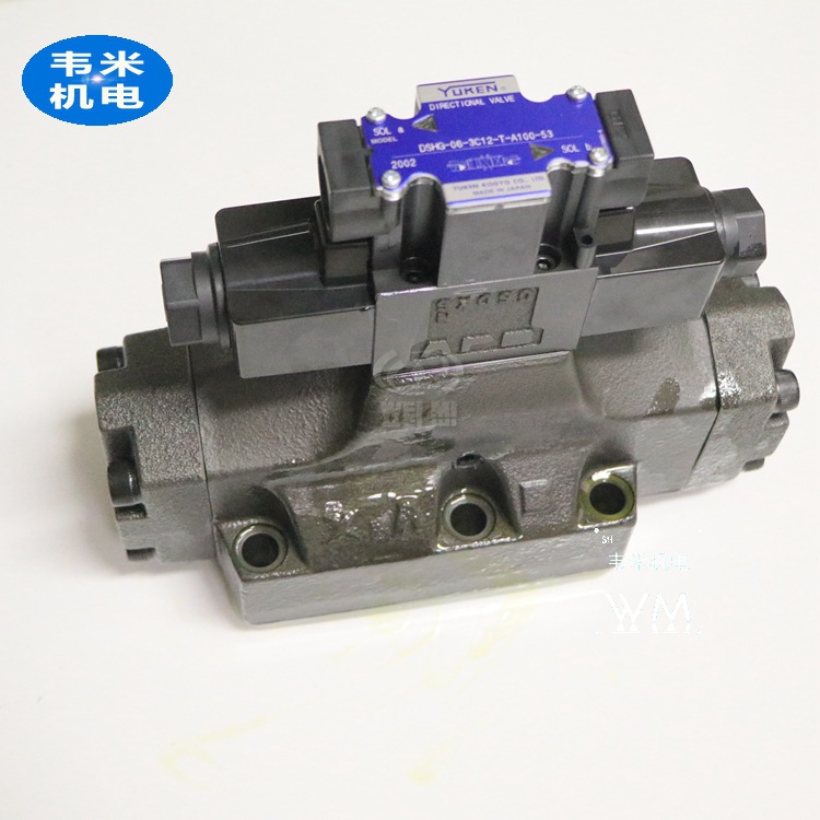 DSHG-06-3C12-T-A100-53 1