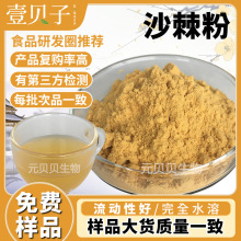 现货包邮沙棘粉水溶沙棘果粉烘焙糕点原料食品级沙棘提取物散装
