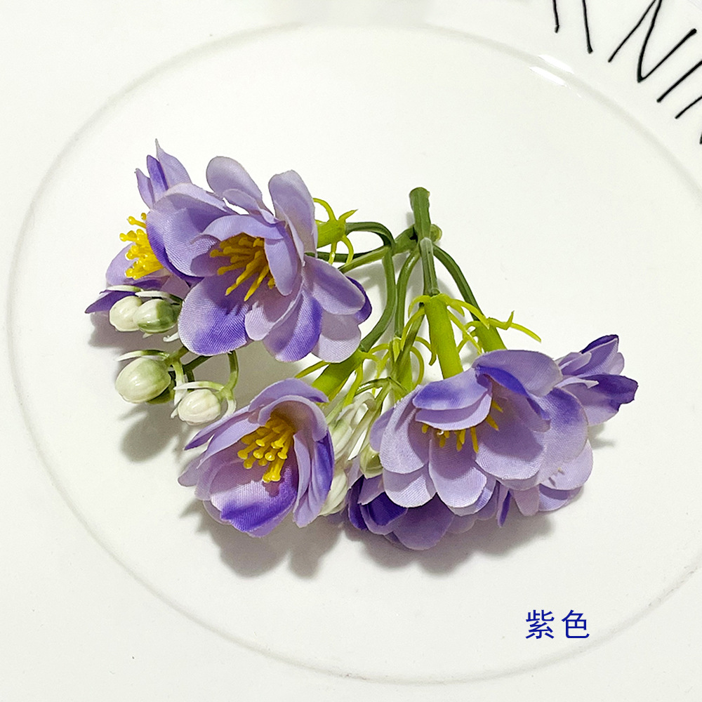 보라색