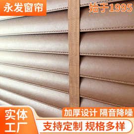 皮革百叶帘C型Nappa纳帕纹智能语音电动手动高端定制超纤皮奢华