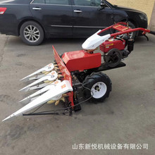 ๦ܸɹ С׽ոʽո ַʽССո