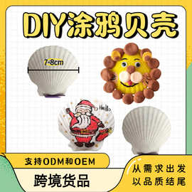 贝壳画diy海星大贝壳玩具 夏怡贝材料包用贝壳珍珠贝壳片 扇贝壳