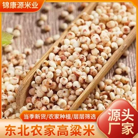 玉米;杂粮组合;生花生