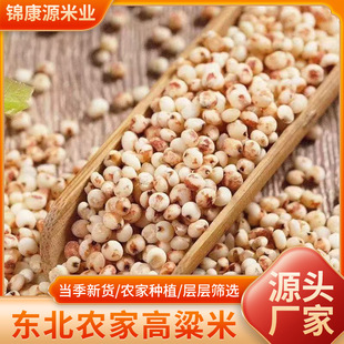 2024�|��ճŴ�������r��ճ������Ŵ�߼t�������r���|��������