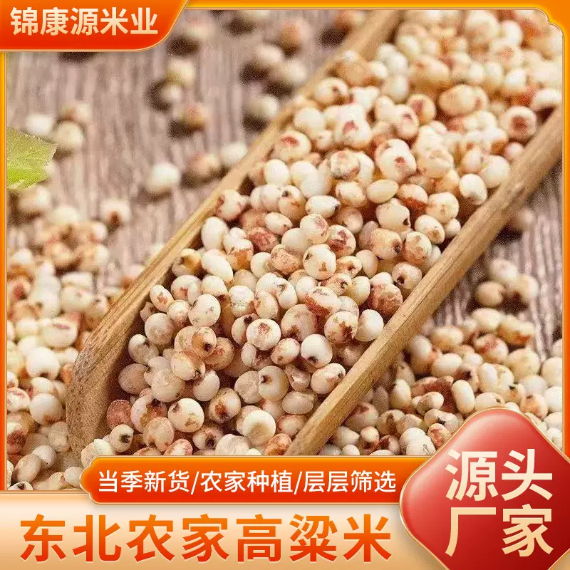 2024新东北粘糯高粱米农家粘高粱米糯高红高粱新鲜优质当季新米
