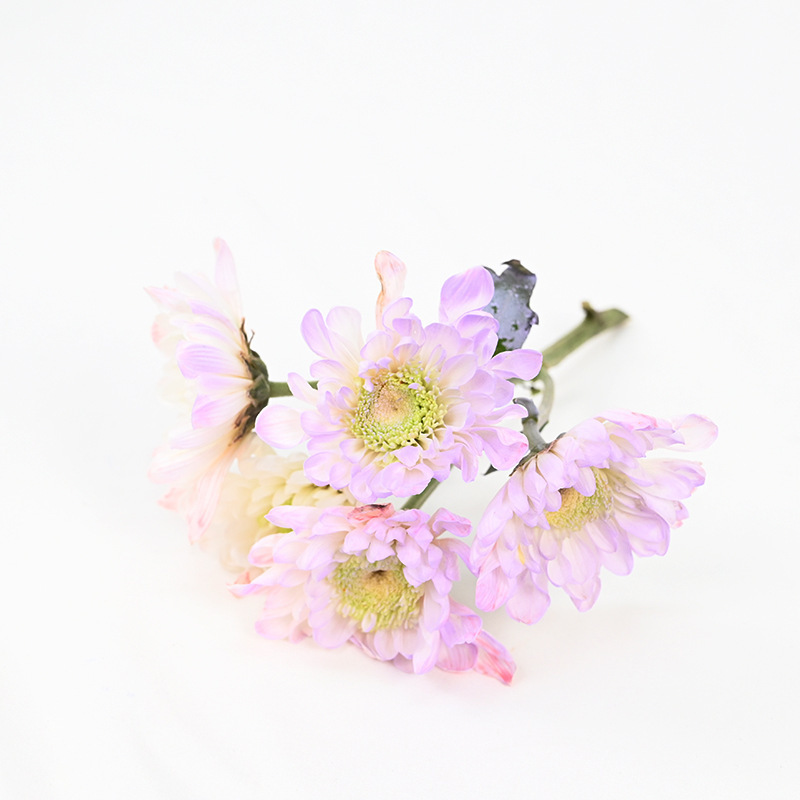 Spray de flores agente de color pintura en aerosol Internet celebridad hielo azul protección del medio ambiente a base de agua floral pintura en aerosol colorante agente de color en aerosol colorante