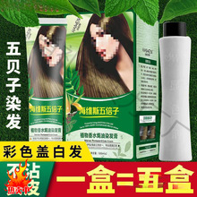 1000大五贝子植物染发剂染发膏女2025流行发色显白盖白发纯批发