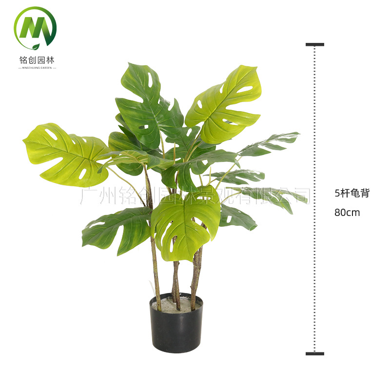 Paisaje interior del suelo, planta pequeña de hoja grande, planta pequeña, planta de taro de hadas, 60cm, planta verde de simulación de monstera, planta pequeña en maceta image 7