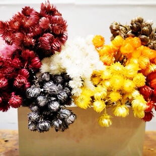 ��ʯ���ɻ���ѩɏ�������߼����滨�������޼Ҿ�ܛ�b�b��r�ջ���