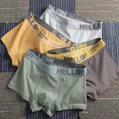 Men's Underpants, Men's Straight Leg Pure Cotton Breathable Youth Trendy High-Corner Briefs Student Shorts for Wholesale