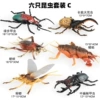 [New Style] HFM Hollow Insect 6 Style Set C (Including Mayfly)