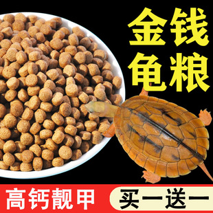 Turtle Food for Golden Turtle, Yellow-Throated Water Turtle, Vietnamese Stone Turtle, Musk Turtle Food, Turtle Feed, Money Turtle Food