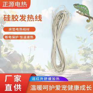 Factory Direct Supply of Reptile Silicone Heating Wire Heating Wire Electric Blanket Heating Wire Heating Electric Heating Pad Wholesale