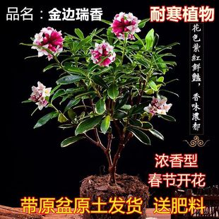 ��߅����������ԝ����ͺ������҃����^��ֲ���_����С����]