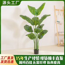 新款仿真綠植旅人蕉天堂鳥盆栽室內家居裝飾擺件植物美人蕉仿生