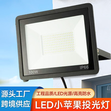 小苹果led投光灯100W户外防水庭院灯泛光灯室外照明广告牌投光灯