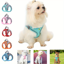 H 38662 Breakproof Cat Leash ������è��ǣ�����羳����ͨ