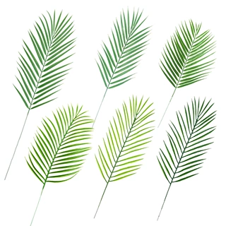 仿真叶子仿真塑料散尾葵婚庆气球植物墙装饰配件铁树叶人造棕榈叶