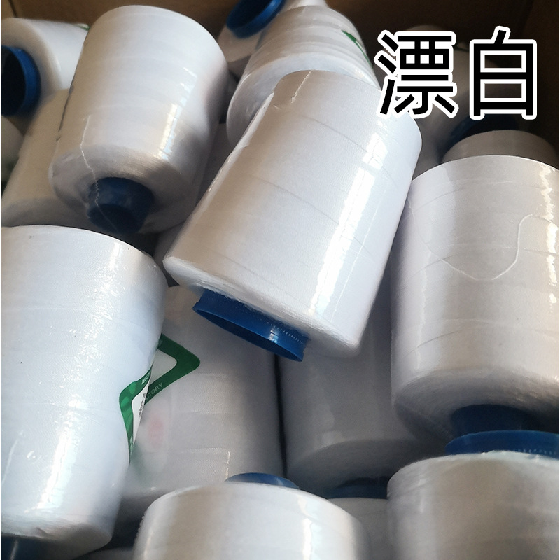 202 굵은 선-표백