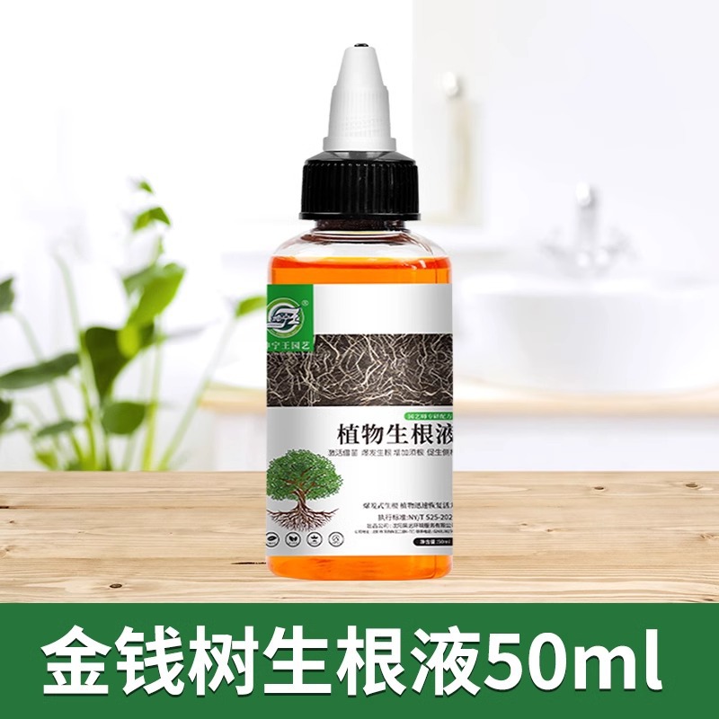 머니트리뿌리액 50ml [1병]