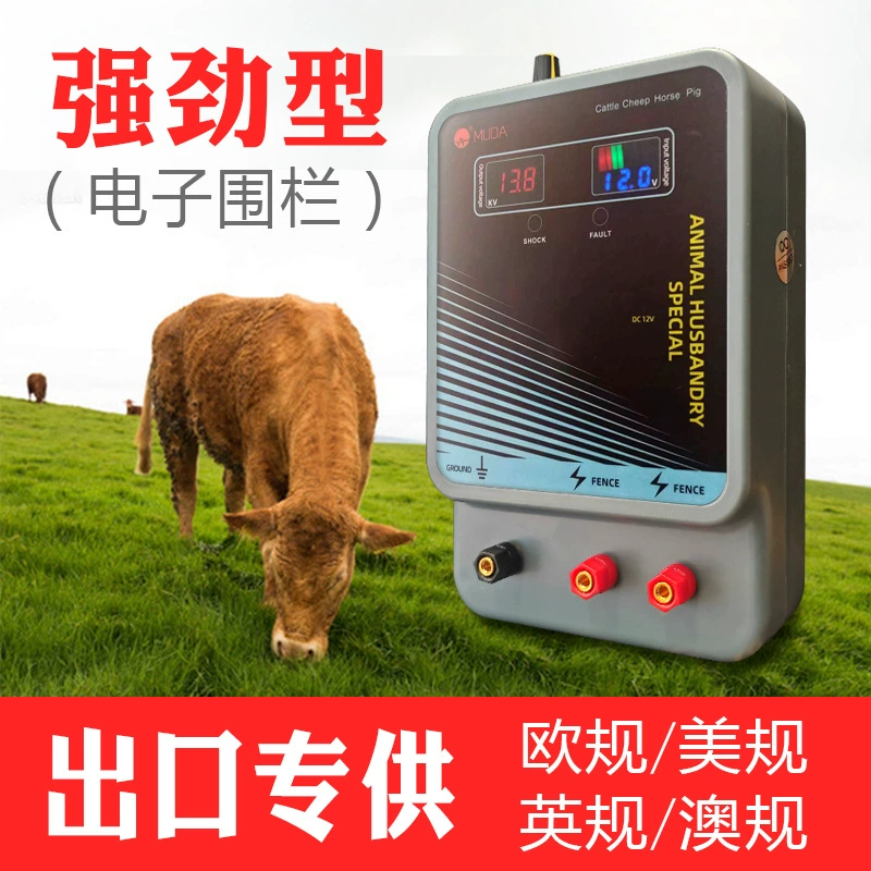 Экспорт внешней торговли импульсный электронный забор с двойным экраном регулирования давления