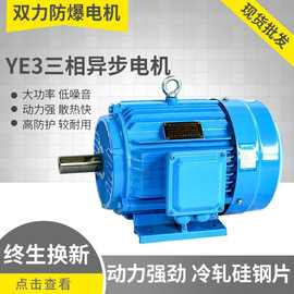 YE2 YE3系列高效三相异步电动机厂家直销 2468级全铜风机专用电机