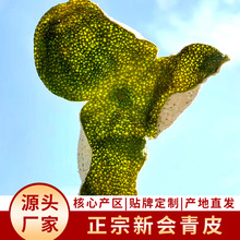 ���ڏV�|����Ƥ�^�ɸɂ}�������Ƥ����Ƥ��ș�Ĺ��S�Ƥ2025