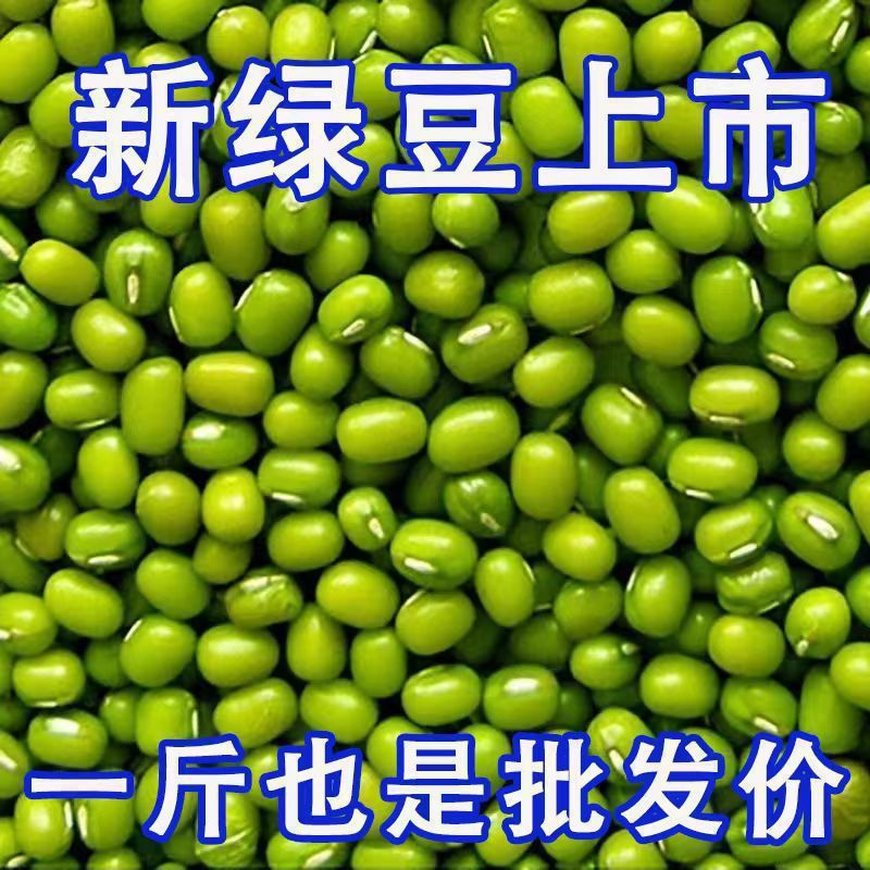 25年东北新货大绿豆5斤农家新鲜绿豆发豆芽煮粥汤易沙新豆1食用|undefined