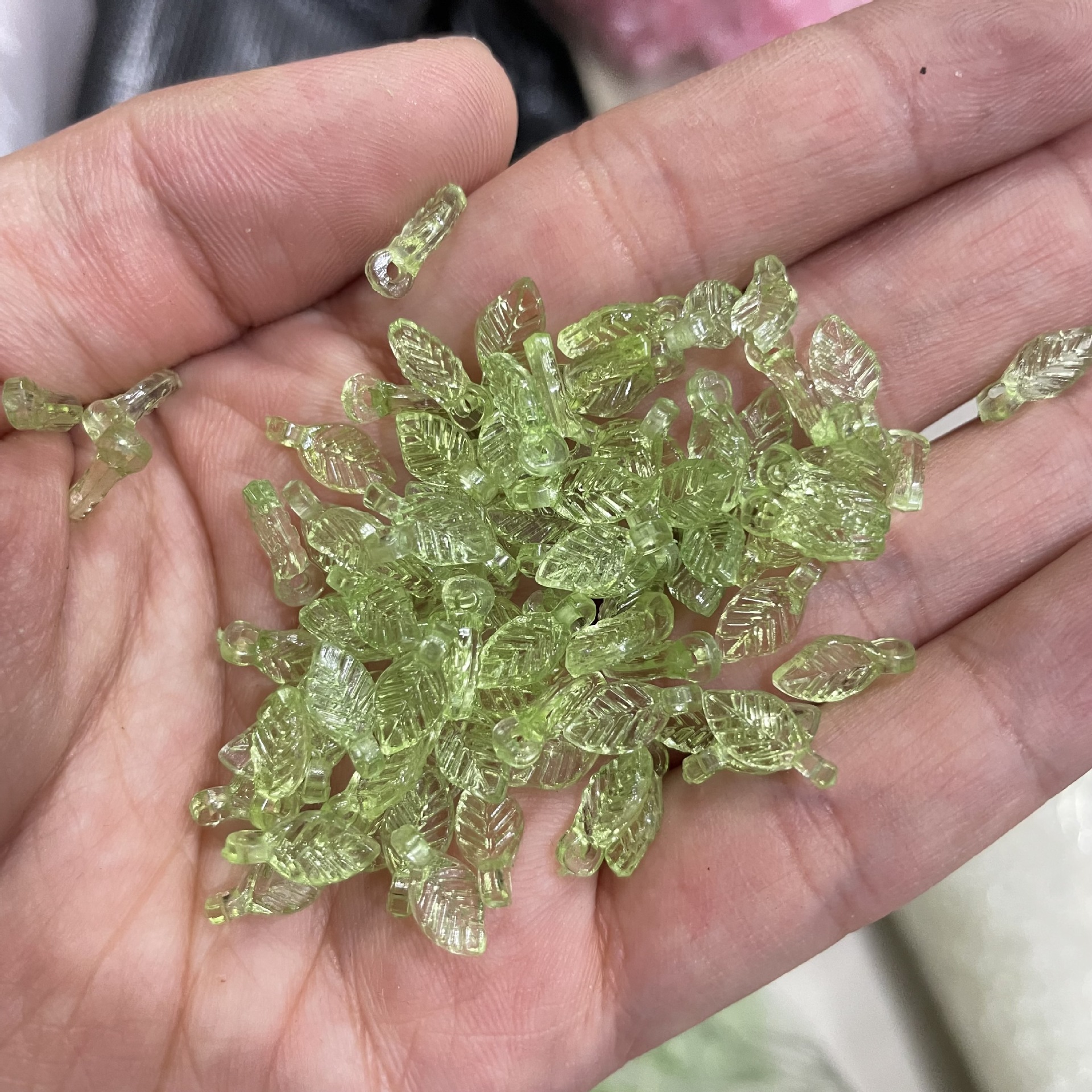 IMG_9204(20250312-130932)